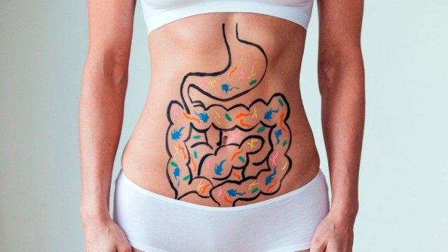 BALANCE INTESTINAL PARA LA ÓPTIMA PÉRDIDA DE PESO